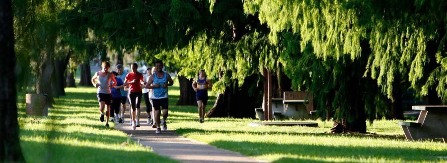 Your Peak2Park Training Tips